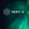 nervos ckb,下一代区块链技术的创新与实践