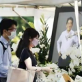 台湾娱乐网中文妹网站,台湾娱乐资讯一手掌握