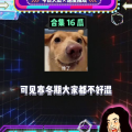 八卦吃瓜娱乐,揭秘娱乐圈幕后故事