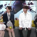 娱乐吃瓜明星探班,娱乐瓜田里的甜蜜邂逅
