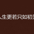 人生若只如初见下一句,时光流转中的永恒回忆