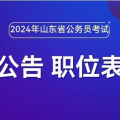 山东省公务员考试网官网,权威信息发布，助力公职梦想起航