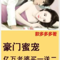 亿万老婆买一送一免费全文阅读全文,七年重逢，爱与复仇的较量