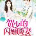 贺少的闪婚暖妻全文免费阅读,豪门宠文，霸道总裁的甜蜜爱情记
