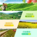 农业致富信息网,揭秘农业致富新路径